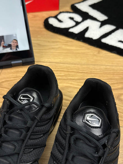 Nike Air Max Plus (44)