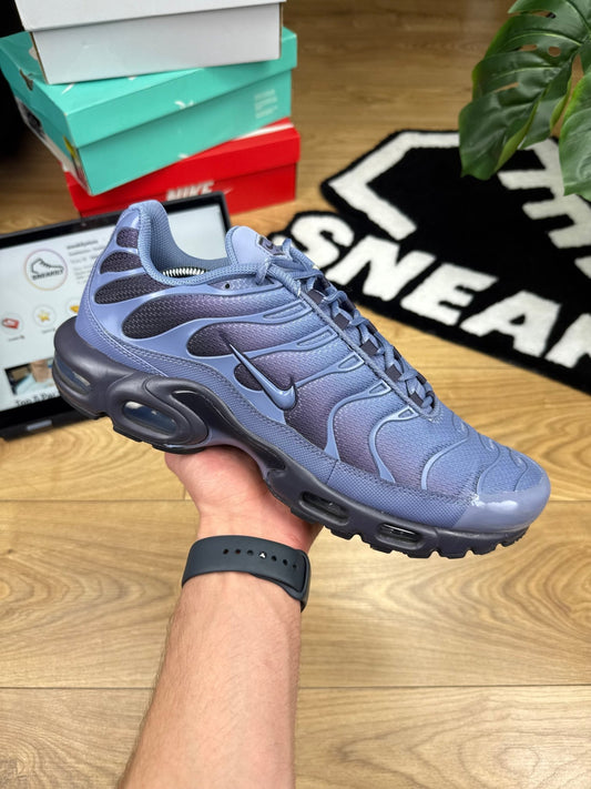 Nike Air Max Plus (47)
