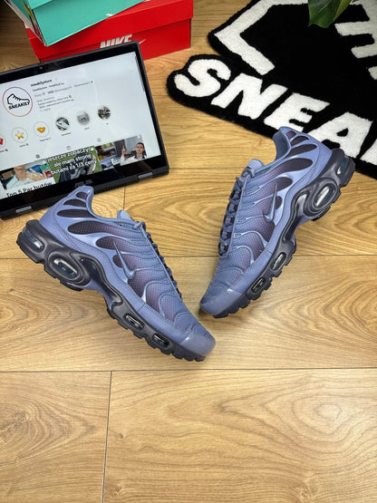 Nike Air Max Plus (47)