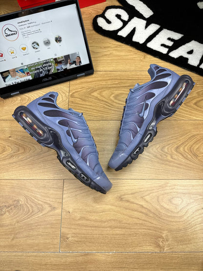 Nike Air Max Plus (47)