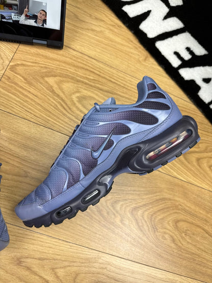 Nike Air Max Plus (47)