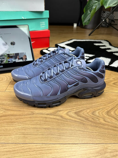 Nike Air Max Plus (47)