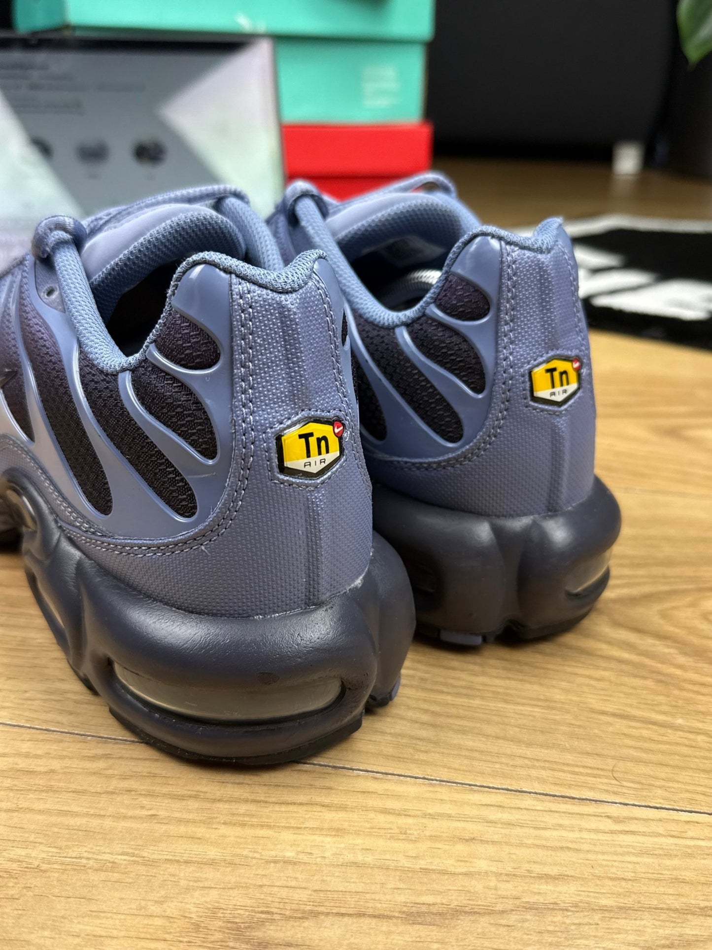 Nike Air Max Plus (47)