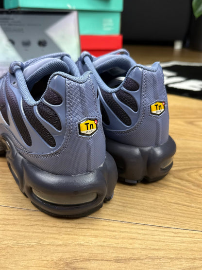 Nike Air Max Plus (47)