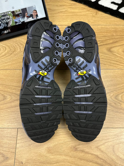 Nike Air Max Plus (47)