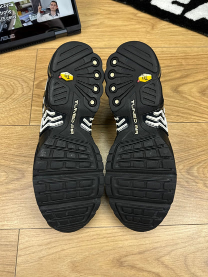 Nike Air Max Plus 3 (43)
