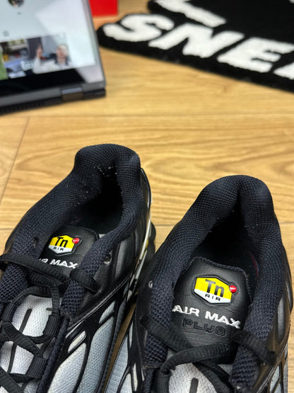 Nike Air Max Plus 3 (43)