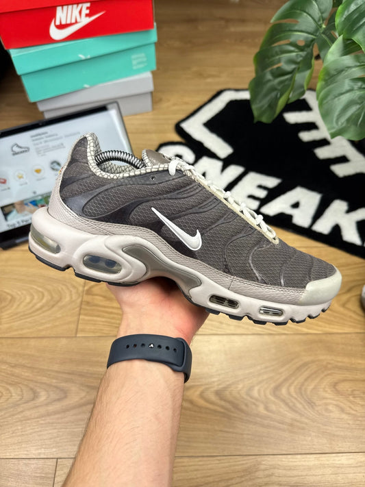 Nike Air Max Plus (44)
