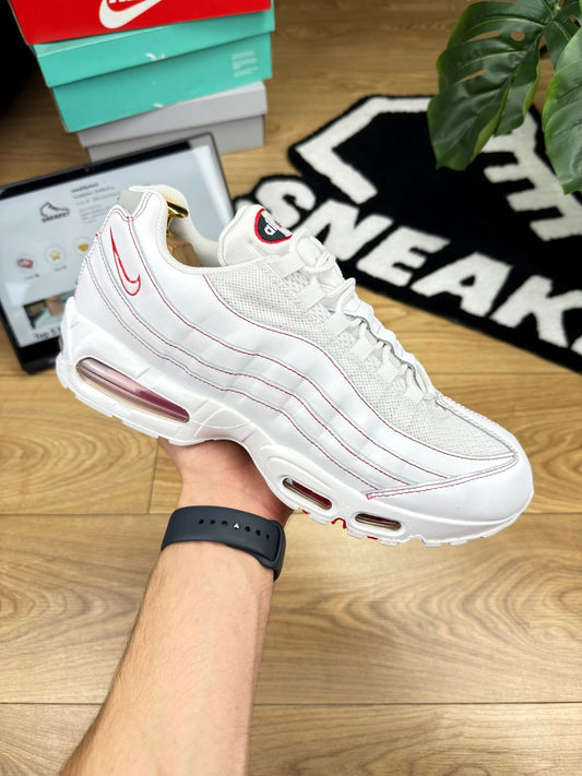 Nike Air Max 95 (46)