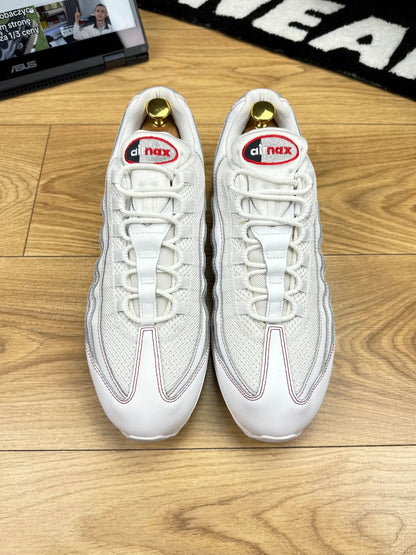 Nike Air Max 95 (46)