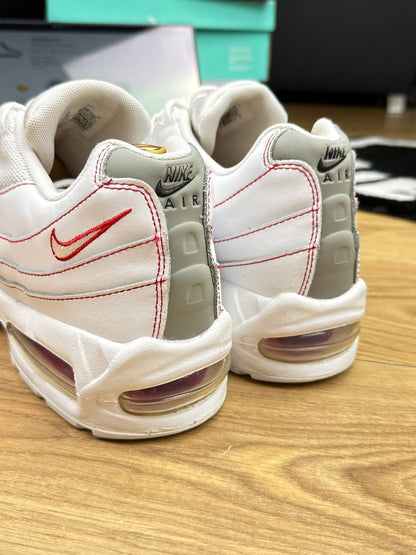 Nike Air Max 95 (46)