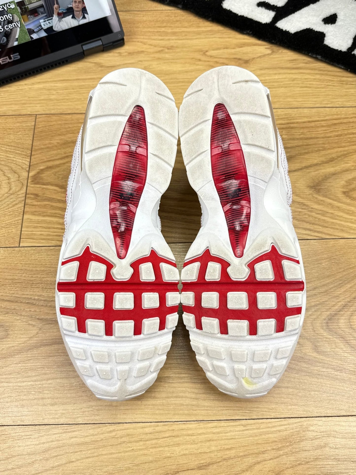 Nike Air Max 95 (46)