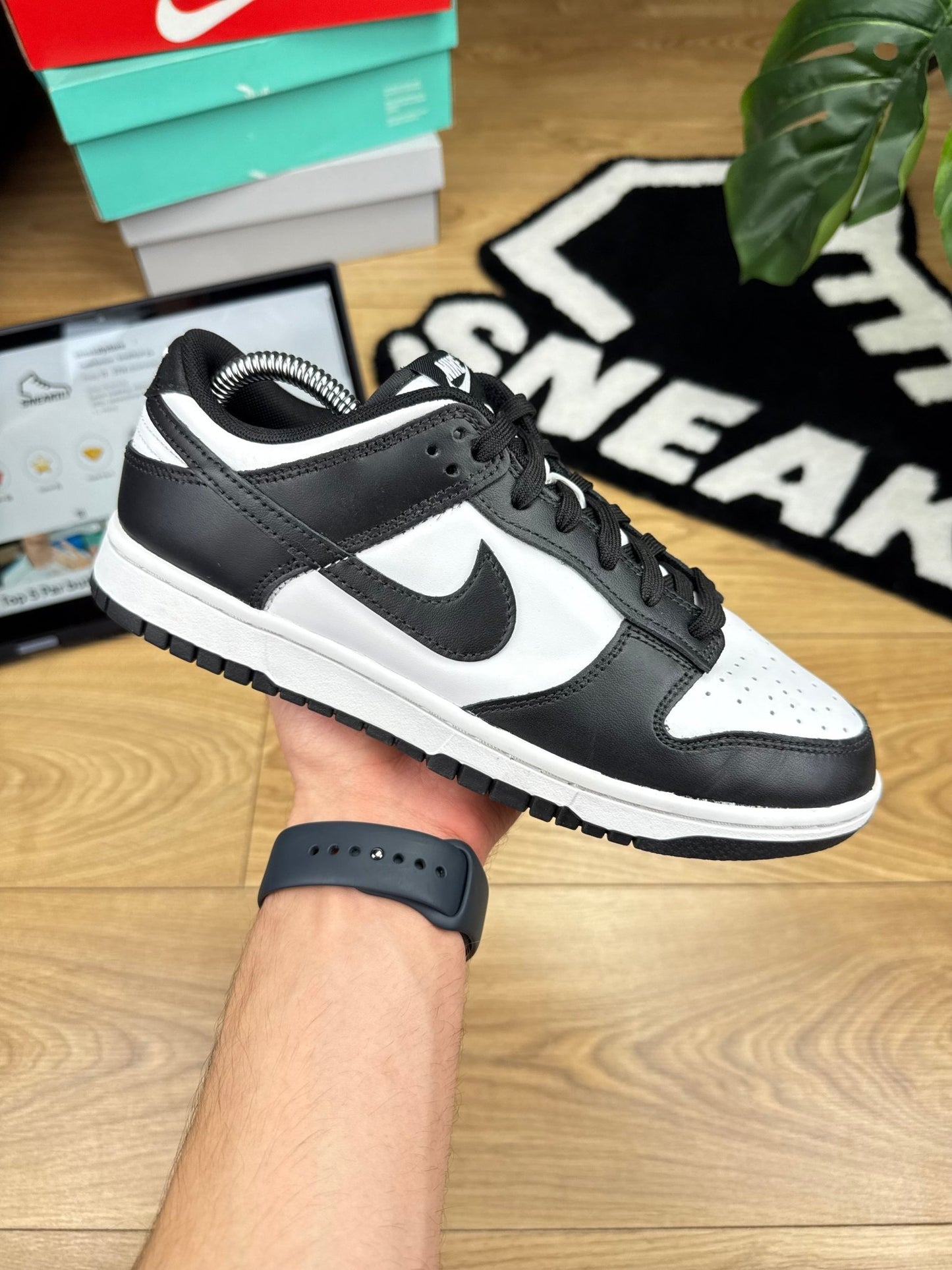 Nike Dunk Low (41)