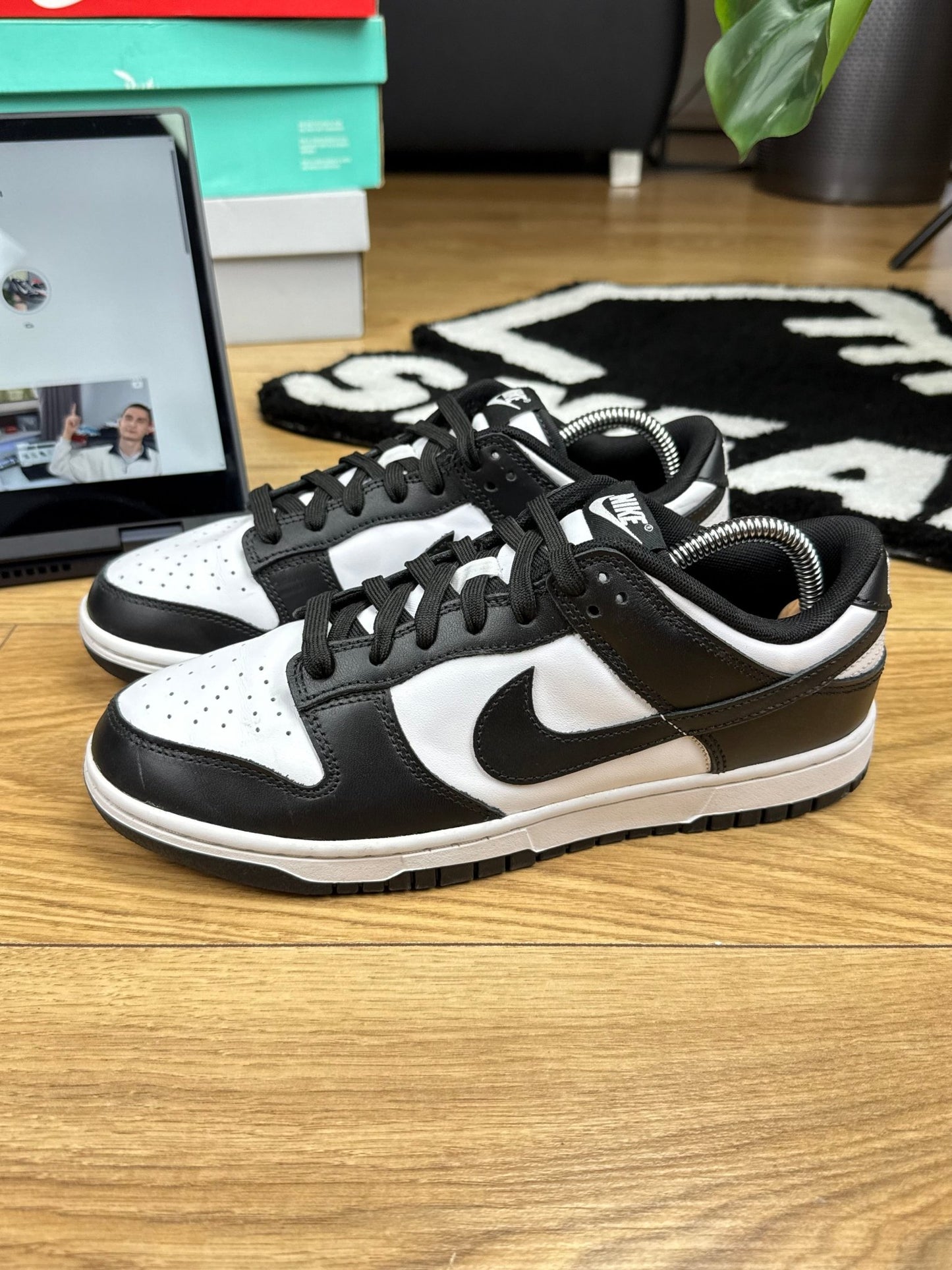 Nike Dunk Low (41)