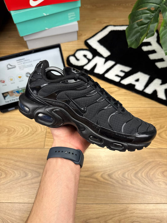 Nike Air Max Plus (43)
