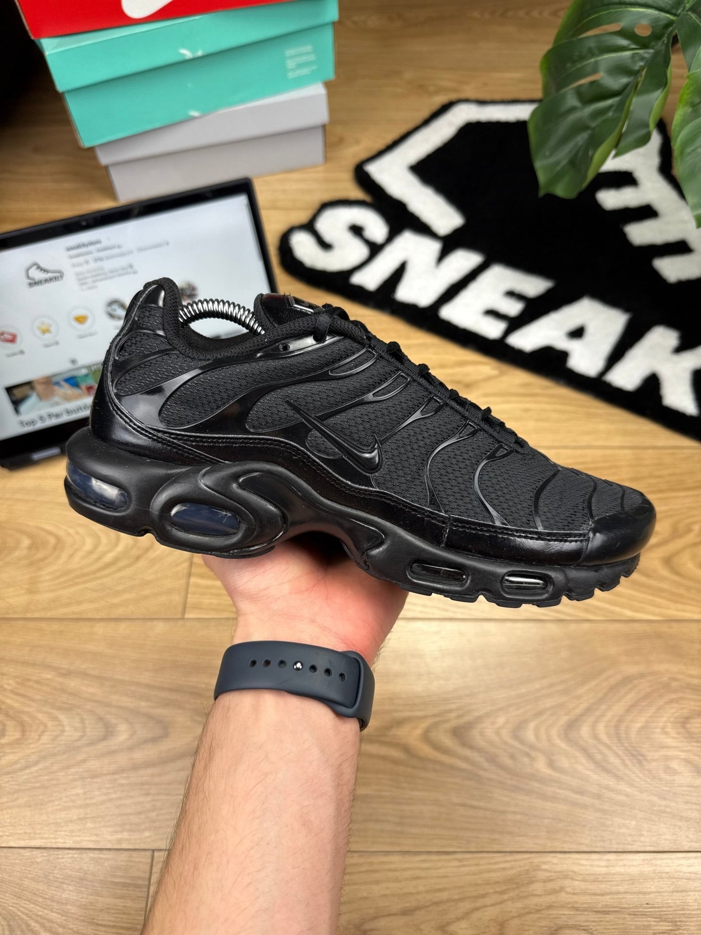 Nike Air Max Plus (43)