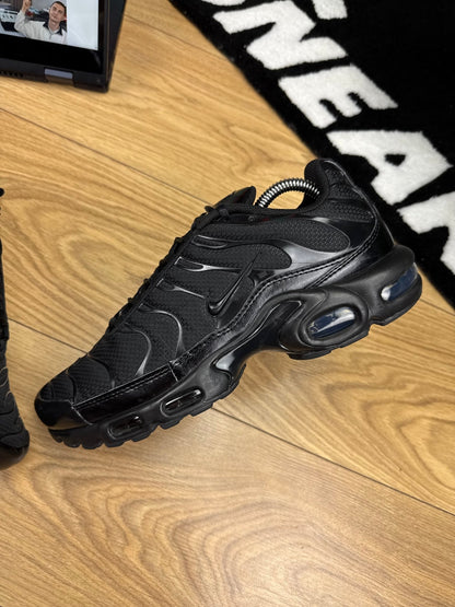 Nike Air Max Plus (43)