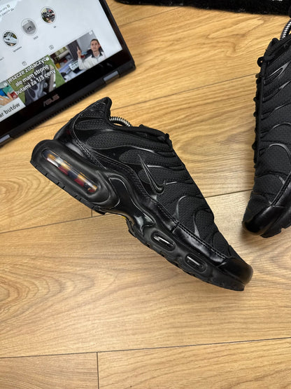 Nike Air Max Plus (43)