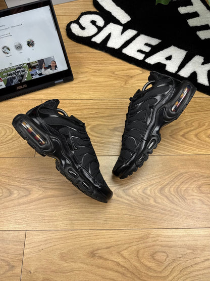Nike Air Max Plus (43)