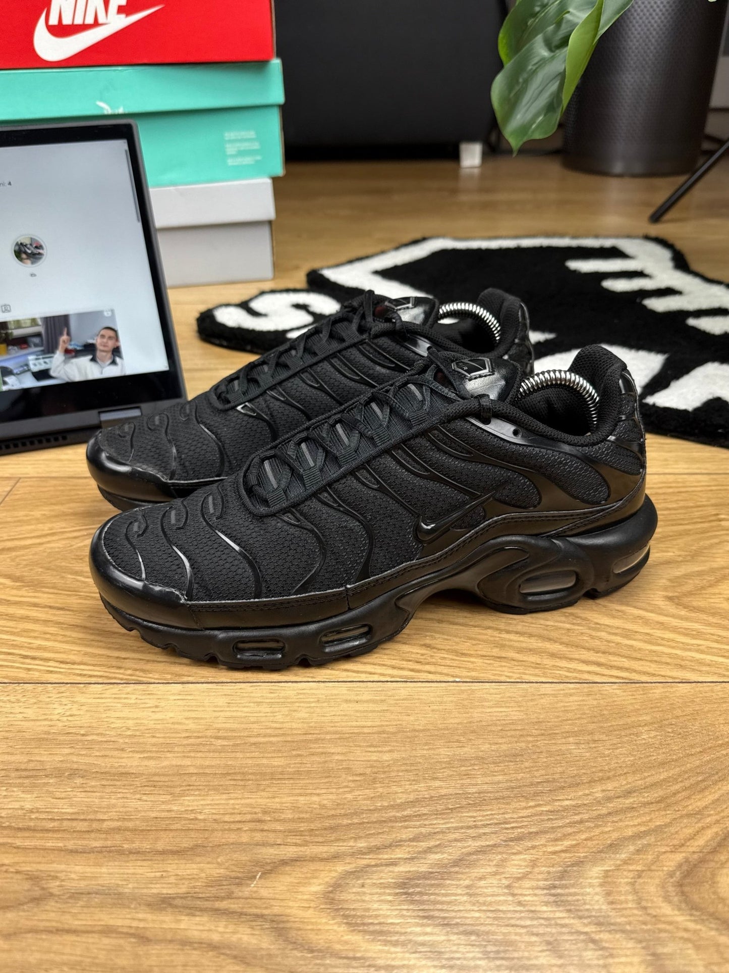 Nike Air Max Plus (43)