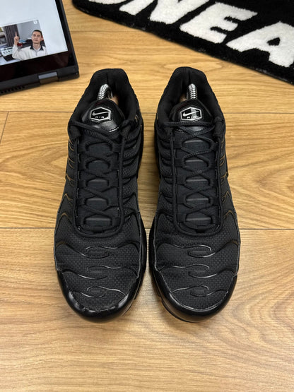 Nike Air Max Plus (43)