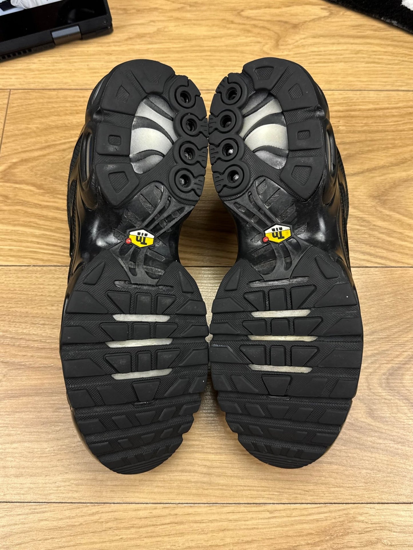 Nike Air Max Plus (43)
