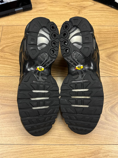 Nike Air Max Plus (43)