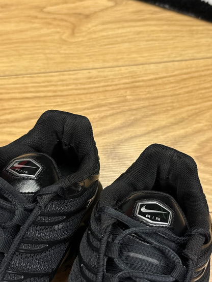 Nike Air Max Plus (43)
