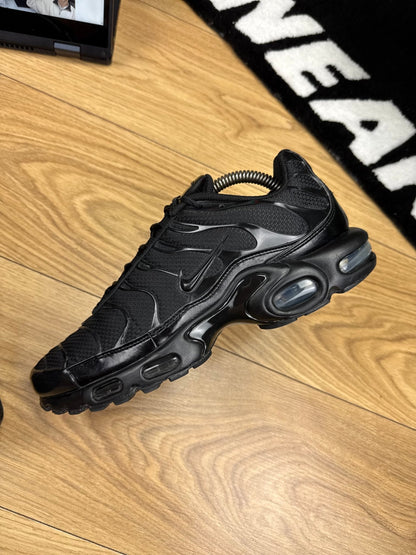 Nike Air Max Plus (42.5)