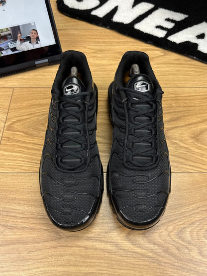 Nike Air Max Plus (42.5)