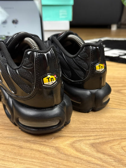 Nike Air Max Plus (42.5)