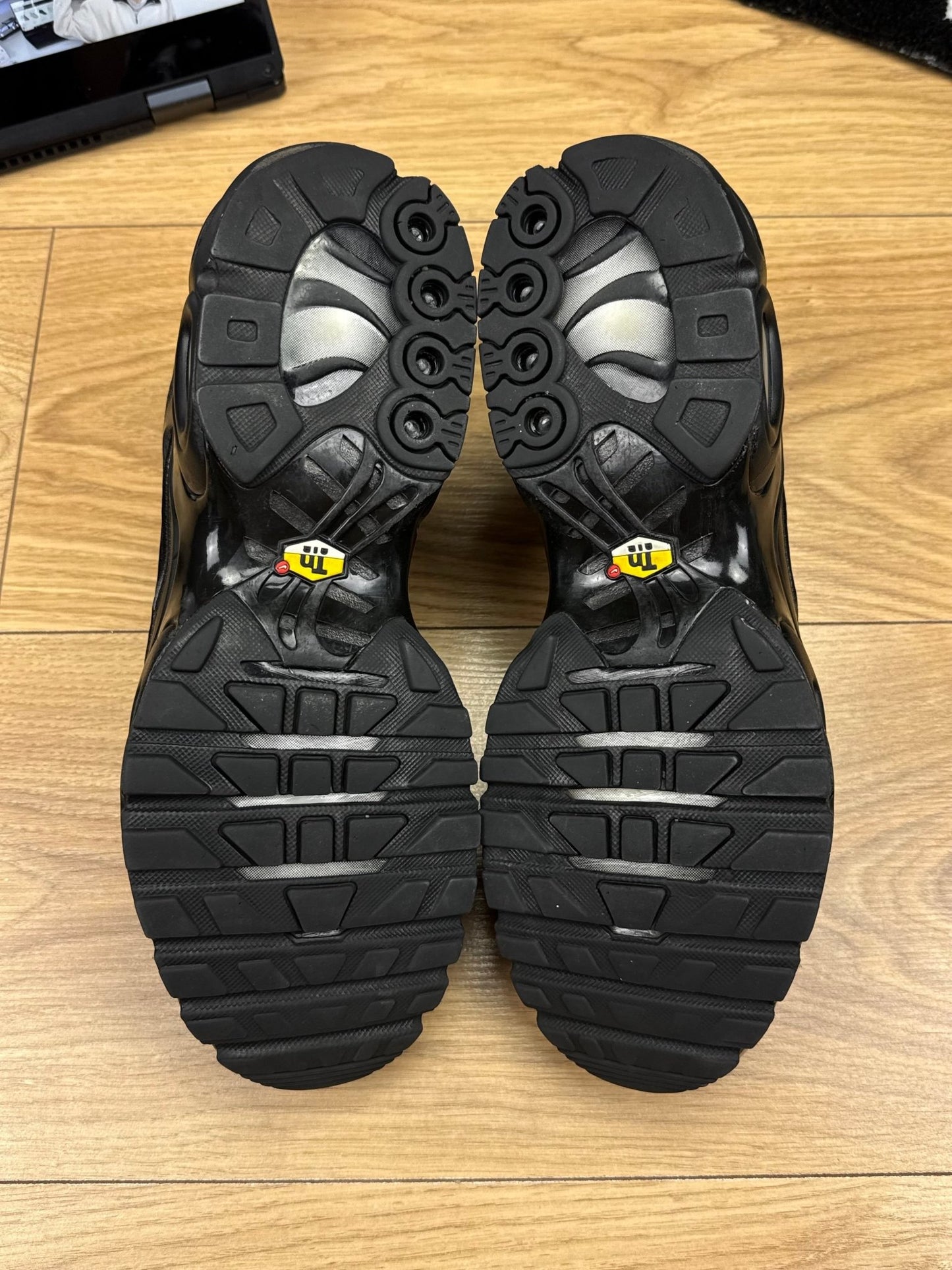 Nike Air Max Plus (42.5)
