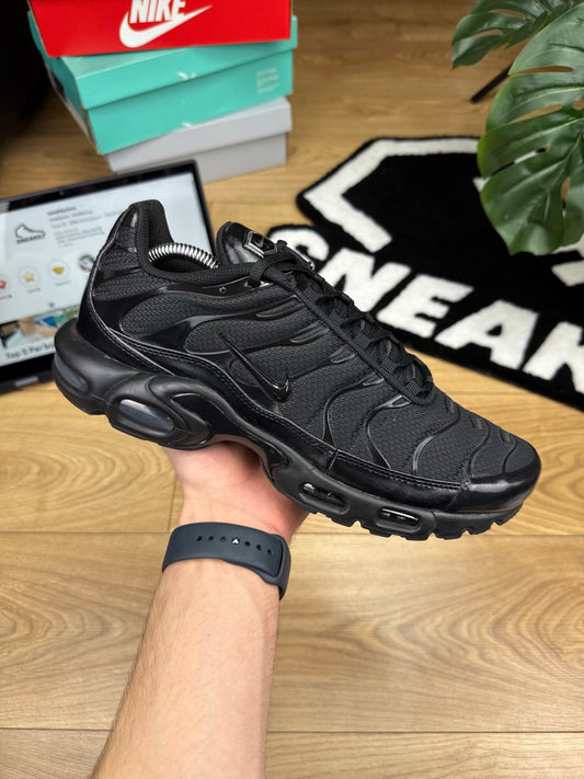 Nike Air Max Plus (44.5)