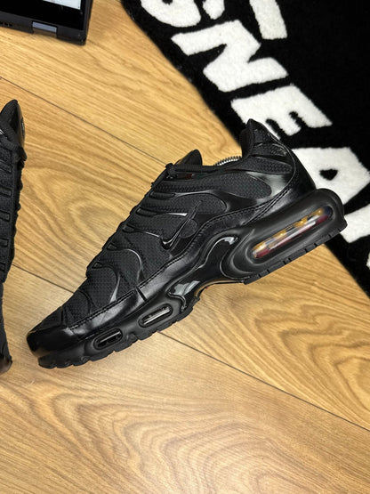 Nike Air Max Plus (44.5)