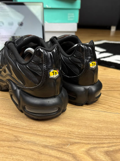 Nike Air Max Plus (44.5)