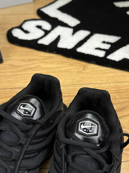 Nike Air Max Plus (44.5)