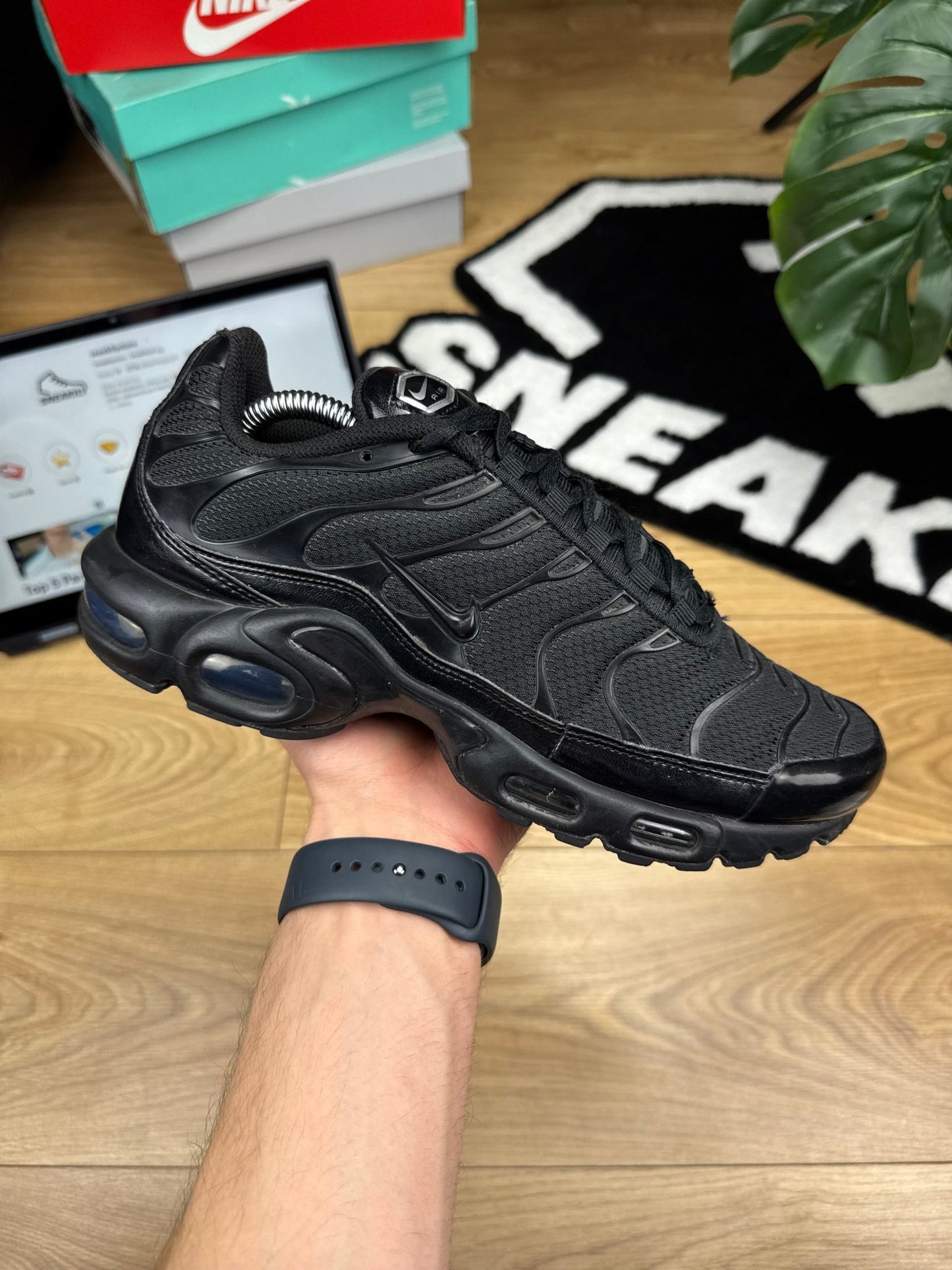 Nike Air Max Plus (42)