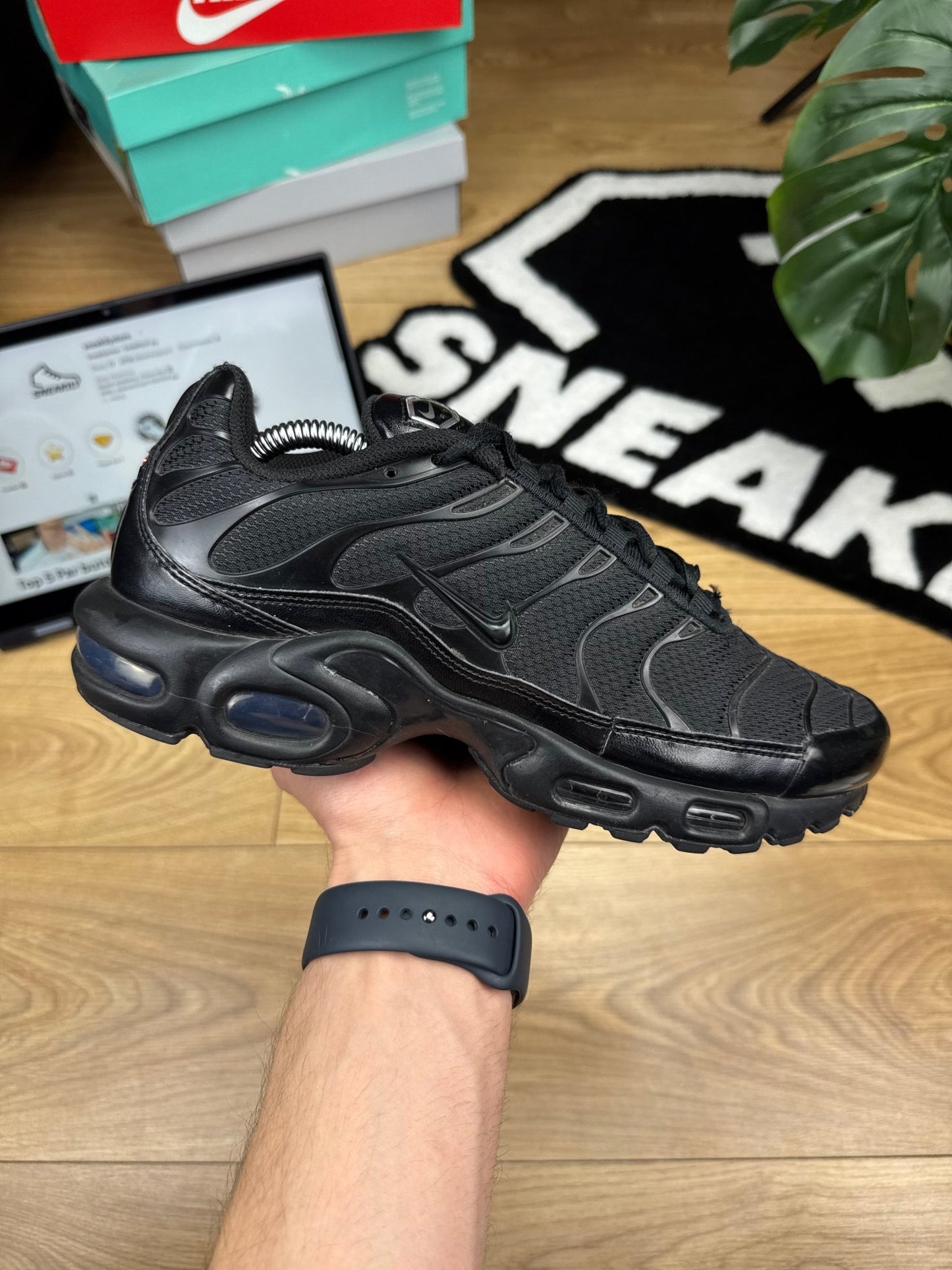 Nike Air Max Plus (42)