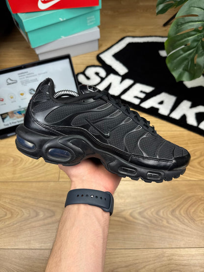 Nike Air Max Plus (42)