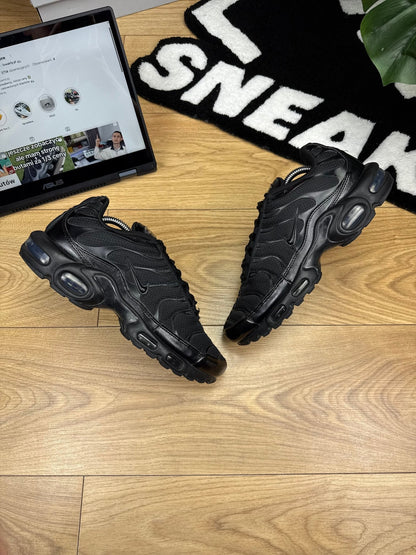 Nike Air Max Plus (42)