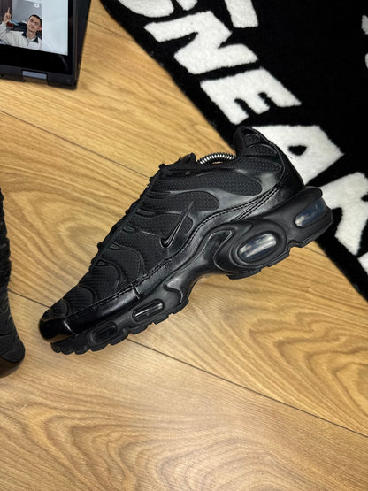 Nike Air Max Plus (42)