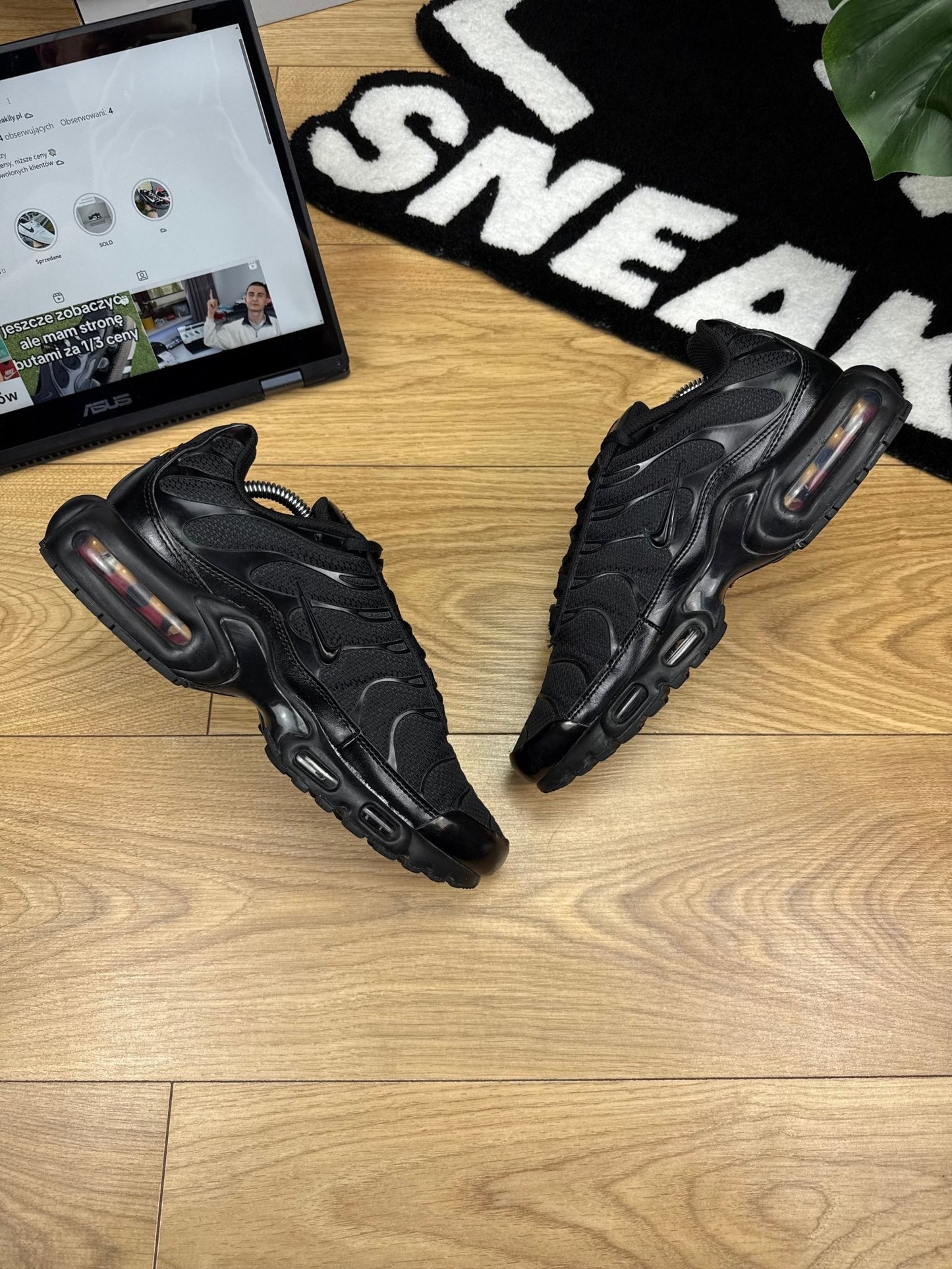 Nike Air Max Plus (42)