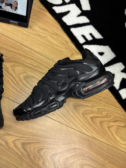 Nike Air Max Plus (42)