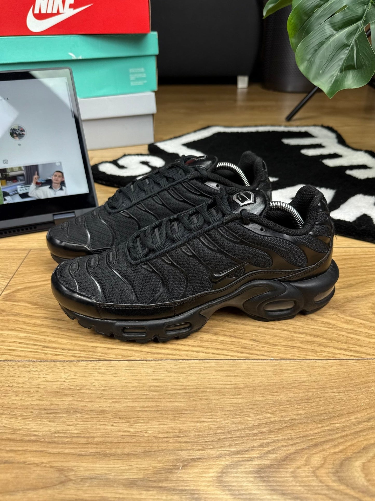Nike Air Max Plus (42)