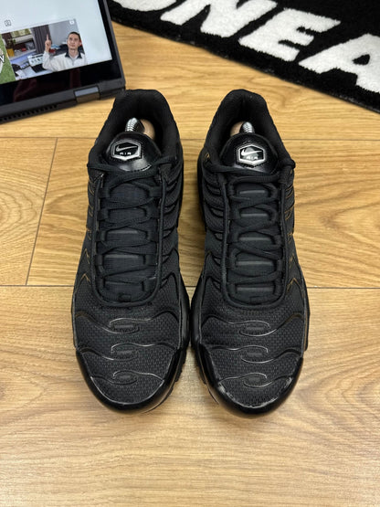 Nike Air Max Plus (42)