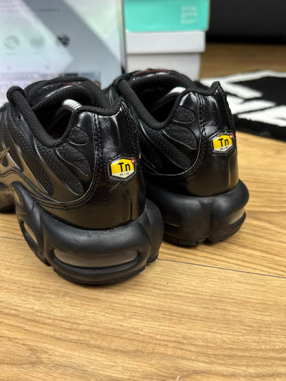 Nike Air Max Plus (42)