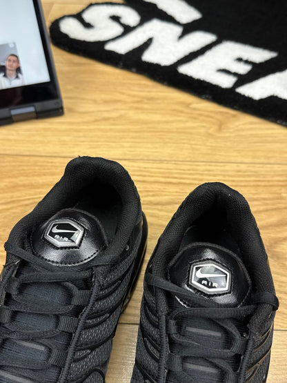 Nike Air Max Plus (42)