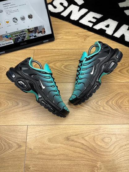 Nike Air Max Plus (42) - sneakilystore