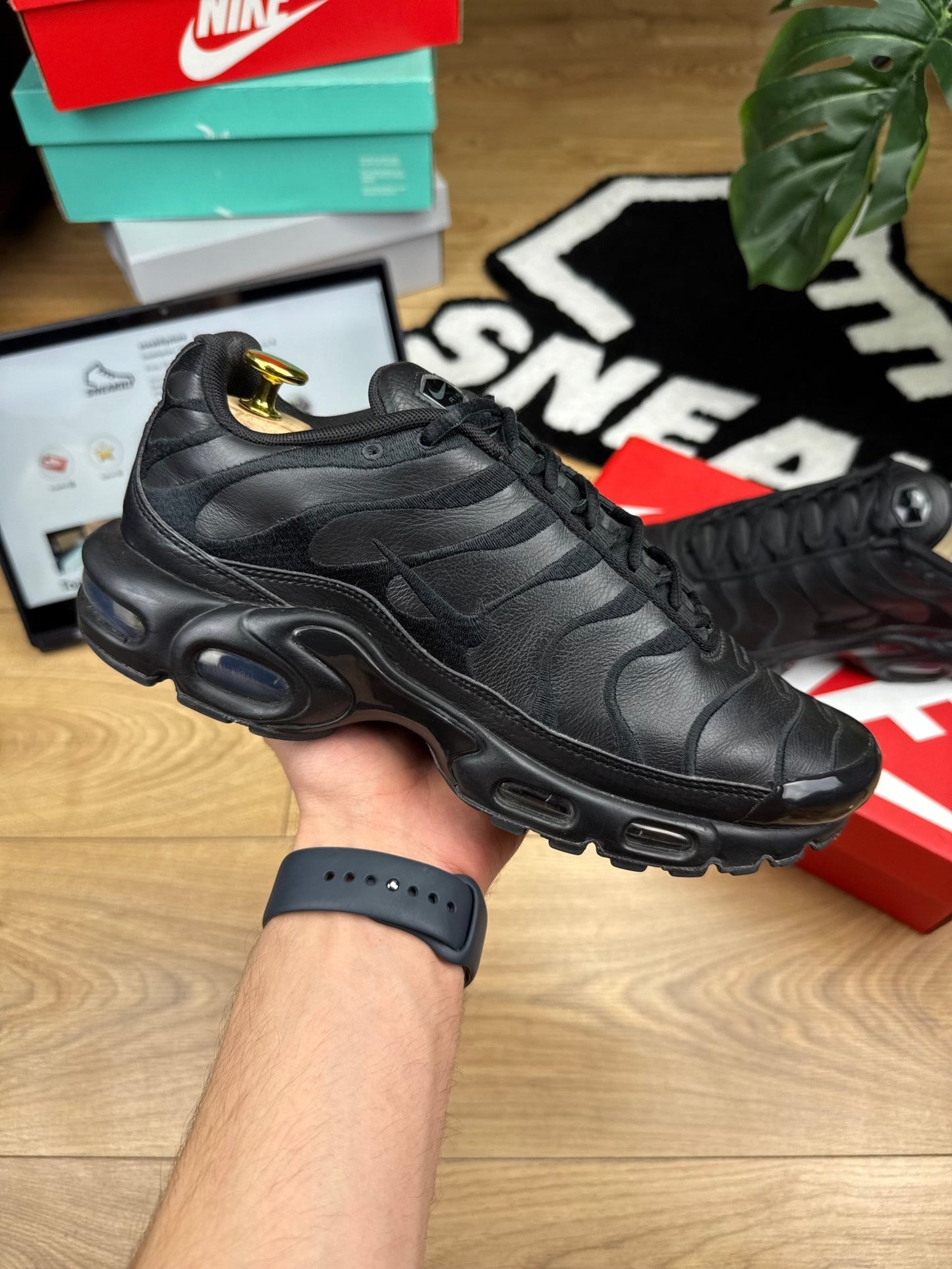 Nike Air Max Plus (42)