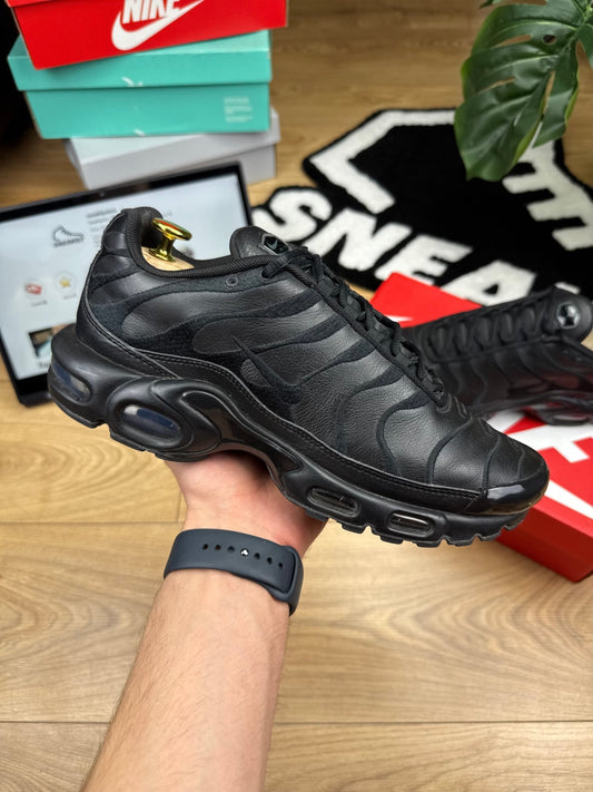 Nike Air Max Plus (42)